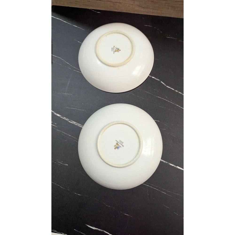 vtg Royal Tettau Spring‎ Bouquet Soup Bowls Set Of 2 Floral Porcelain Dishware